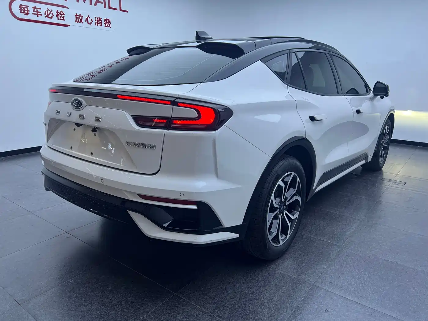 2022 Ford EVOS