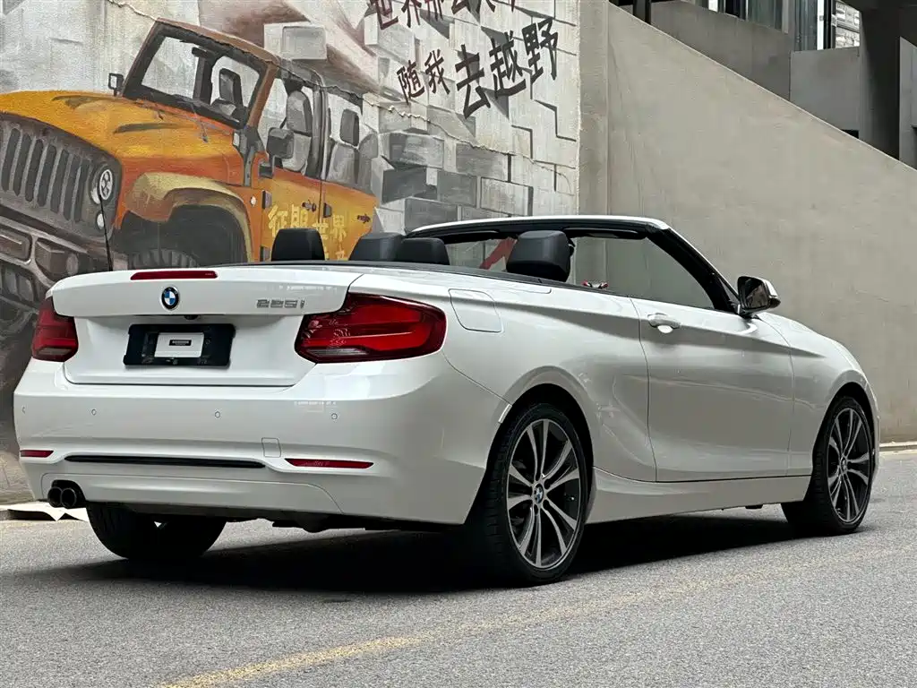 BMW 2 Series (Import) 2019 225i Convertible Coupe Sport Design Package фото 5