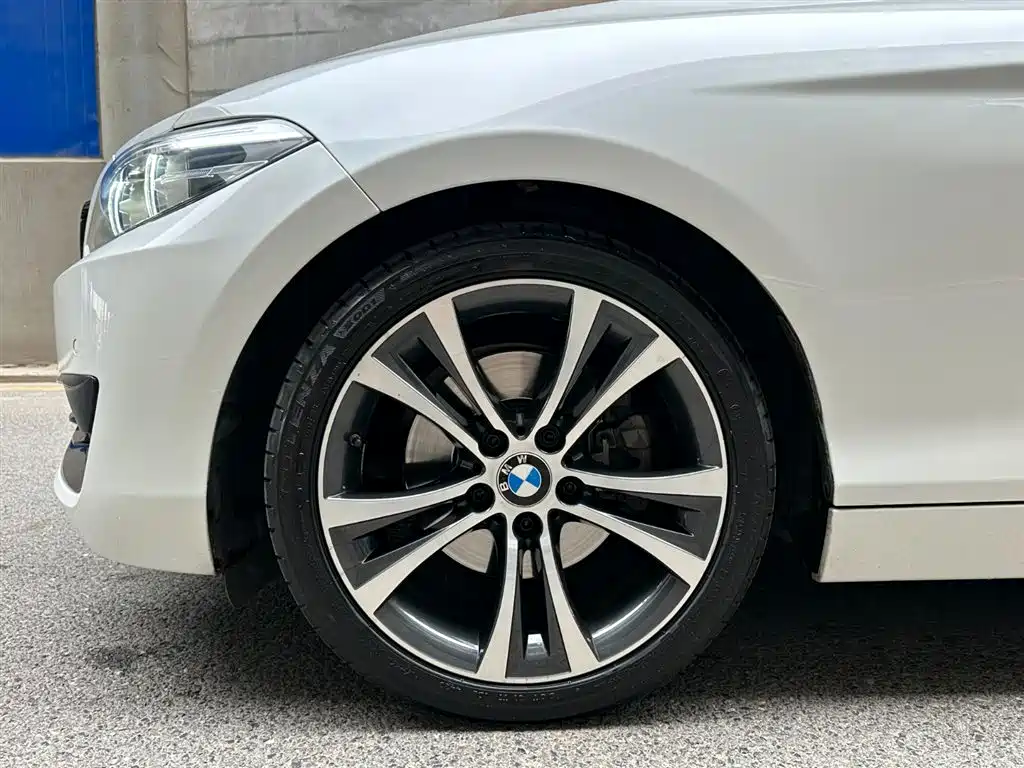 BMW 2 Series (Import) 2019 225i Convertible Coupe Sport Design Package фото 6
