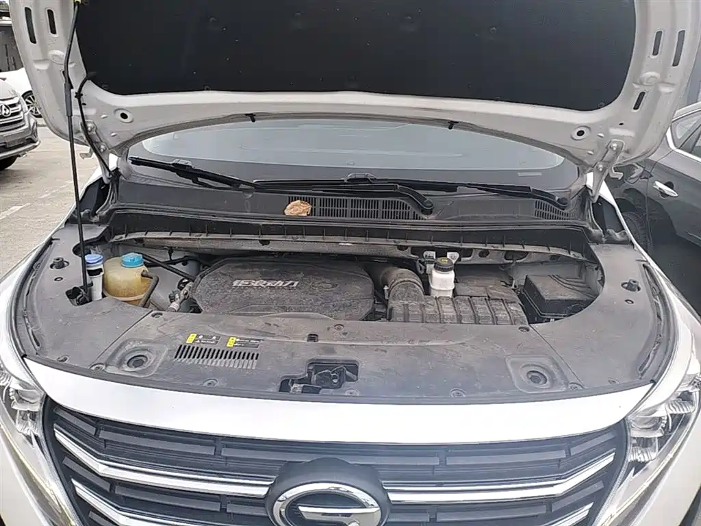 GAC Trumpchi Trumpchi M8 2021 Leading Show Series 390T Ultimate Edition фото 20