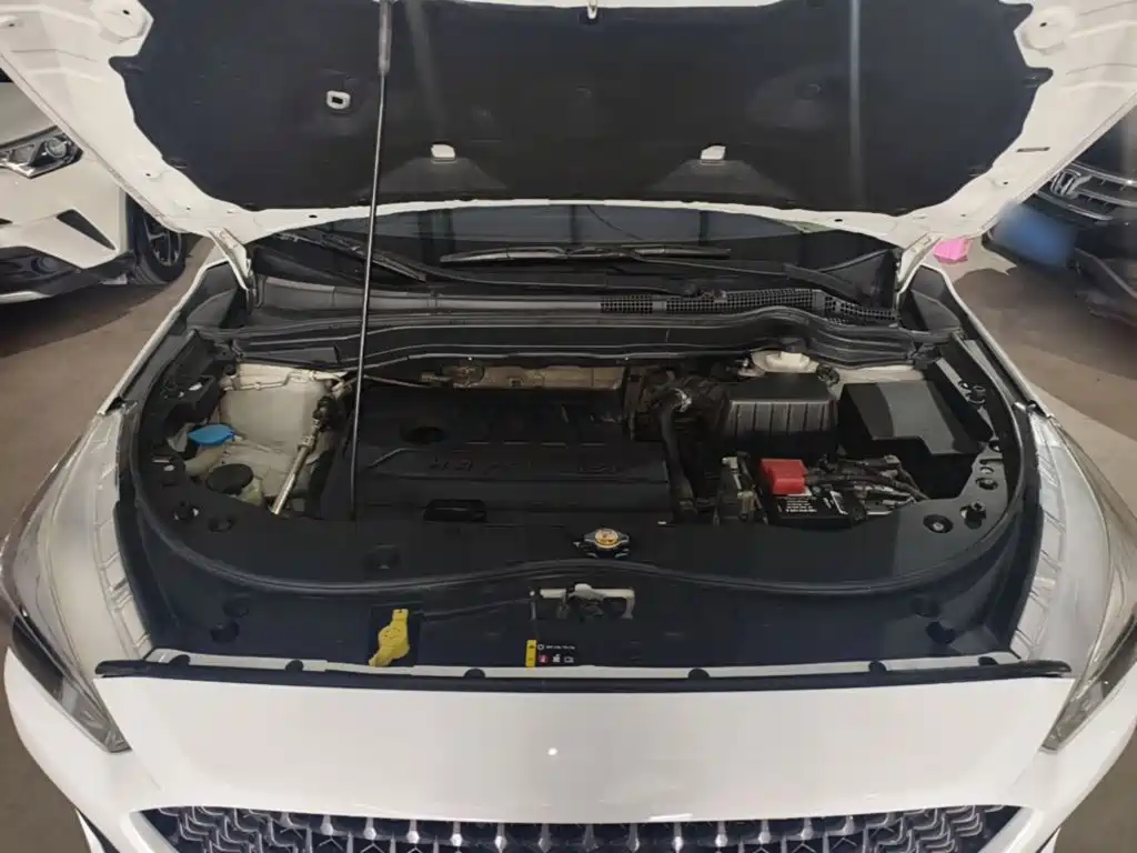 Фото 20 - Haval M6