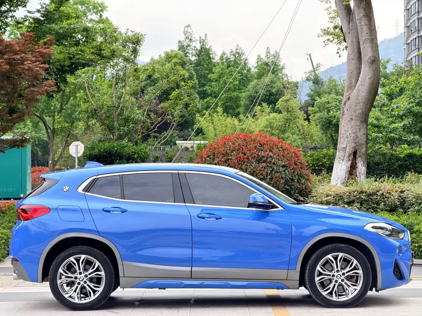 BMW X2 (Import) 2019 sDrive25i Luxury M Off-Road Package China VI фото 12