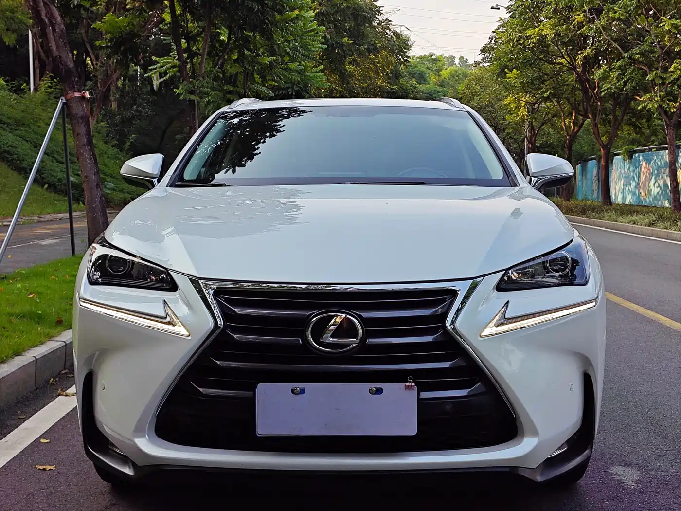 Lexus NX 2015 2016 200 AWD F Sport