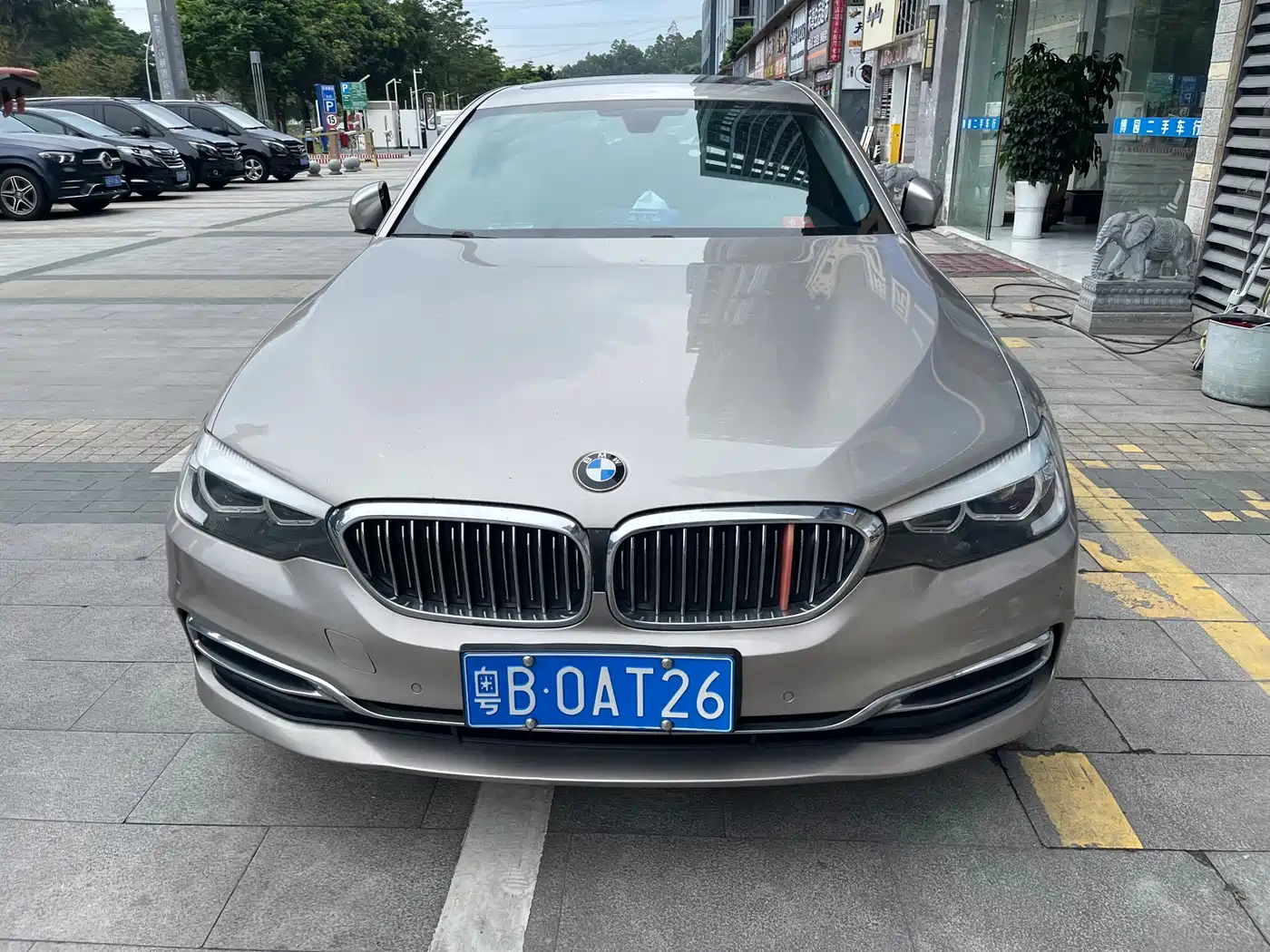 BMW 5 Series 2019 525Li Luxury Package фото 2