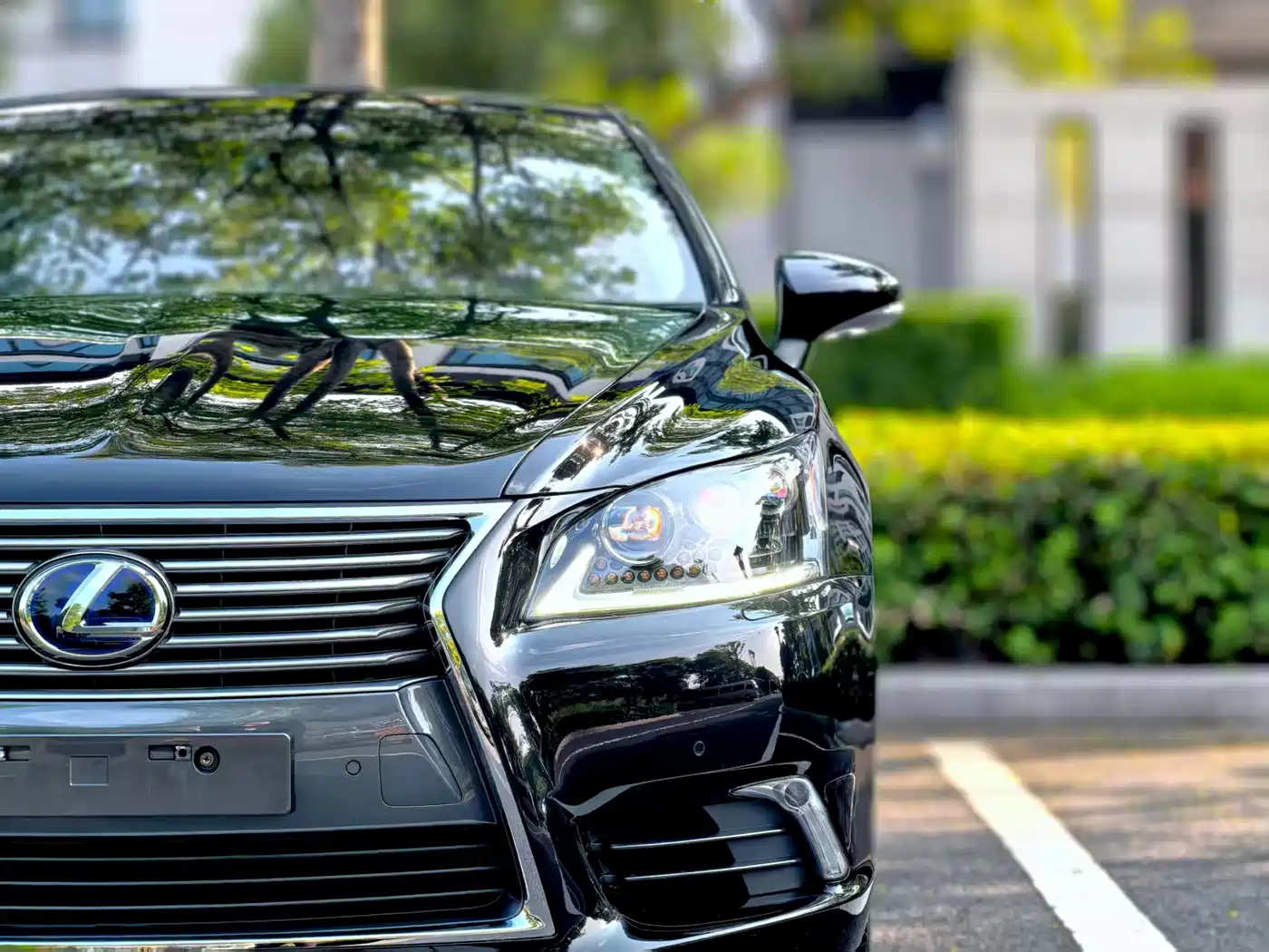 Lexus LS 2013 460L 4WD Premium Edition фото 3