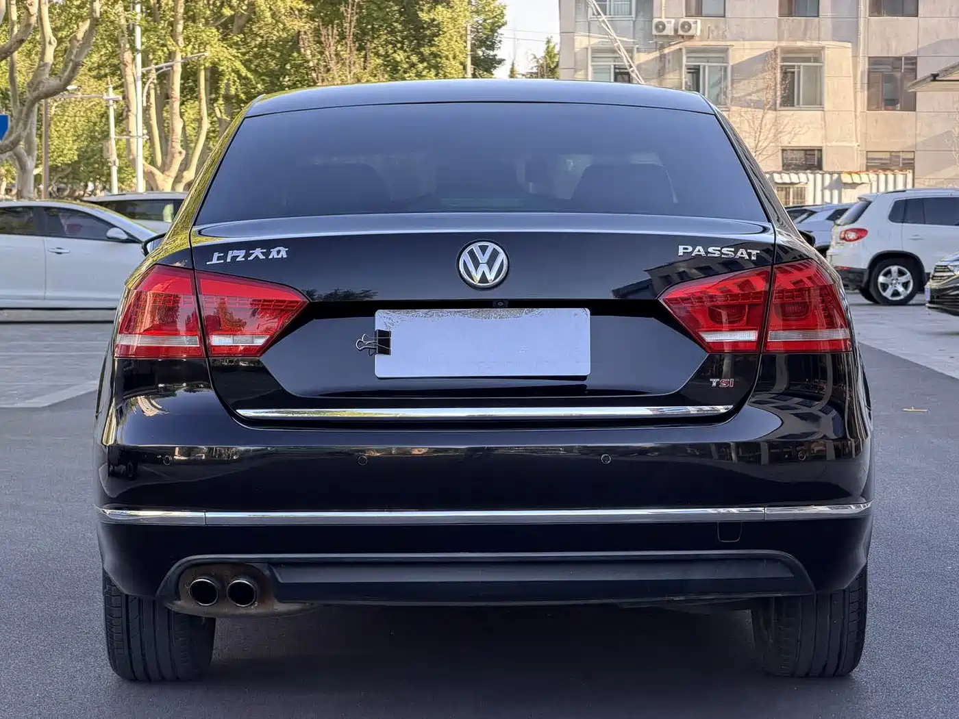 Volkswagen Passat 2014 1.8TSI DSG Executive Edition фото 5