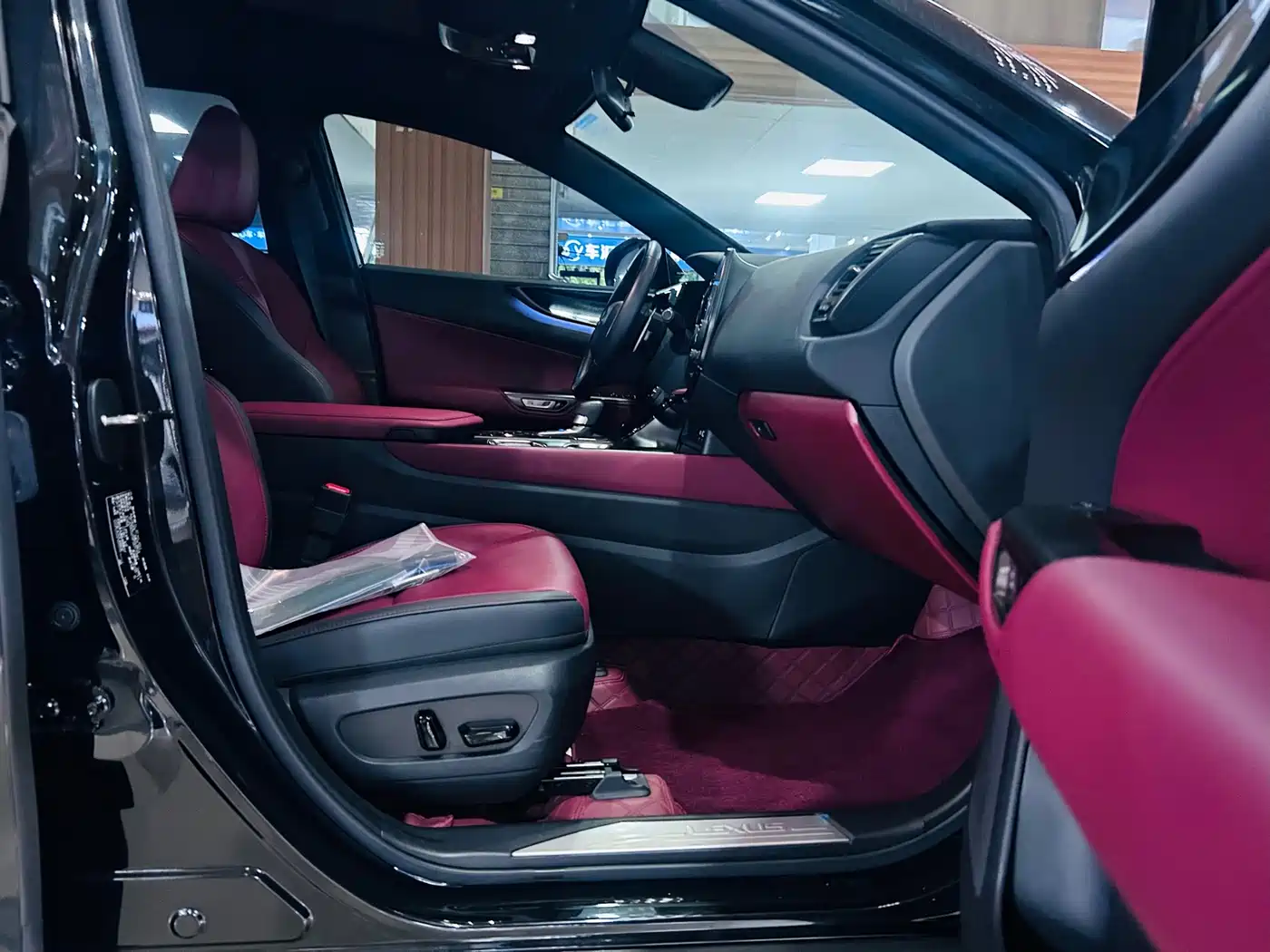 Lexus NX 2024 2023 260 FWD Joy Creation Edition