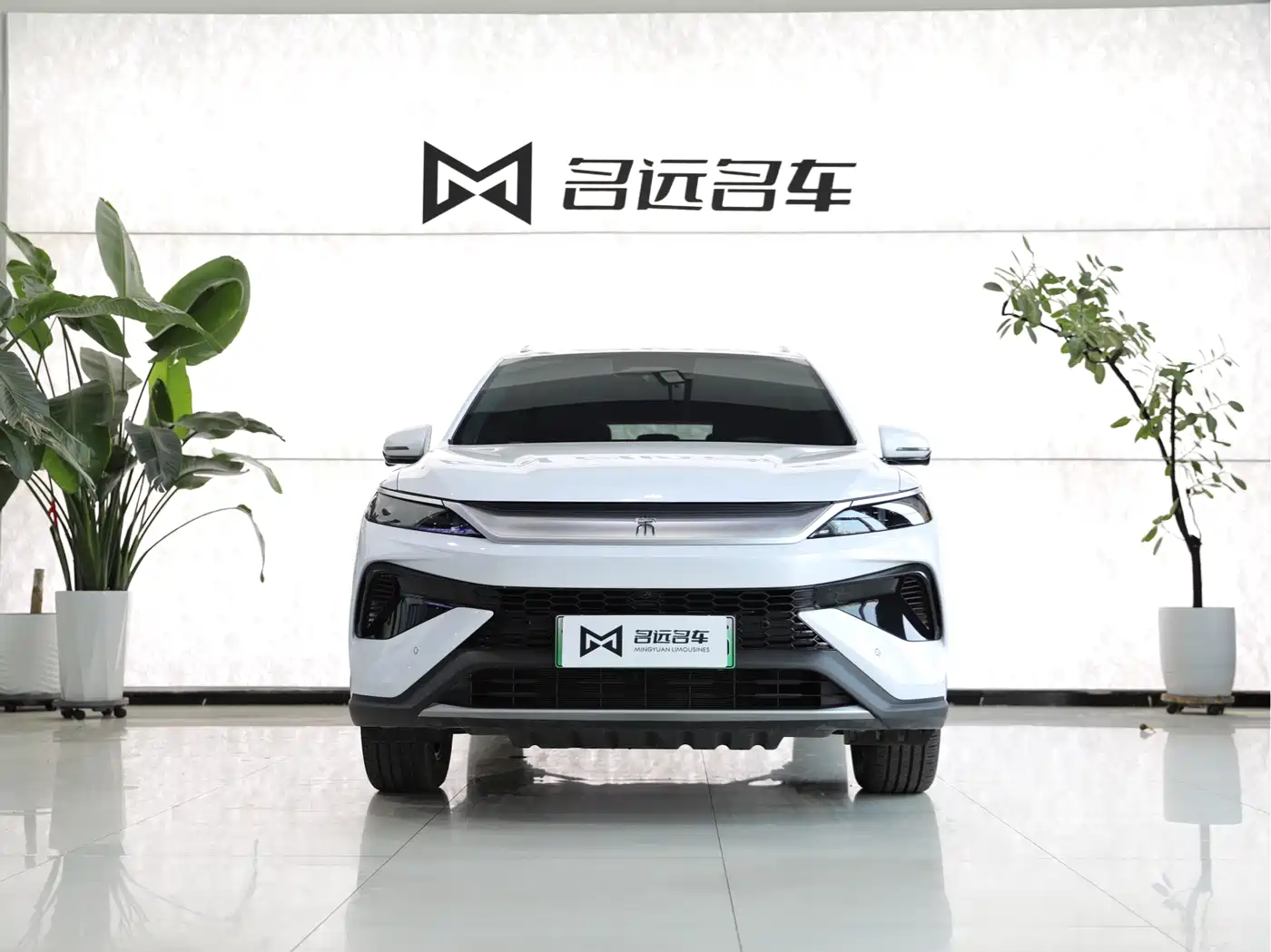 BYD Song Pro New Energy 2025 2nd Generation Smart Drive Edition DM-i 75KM Leading Type фото 2