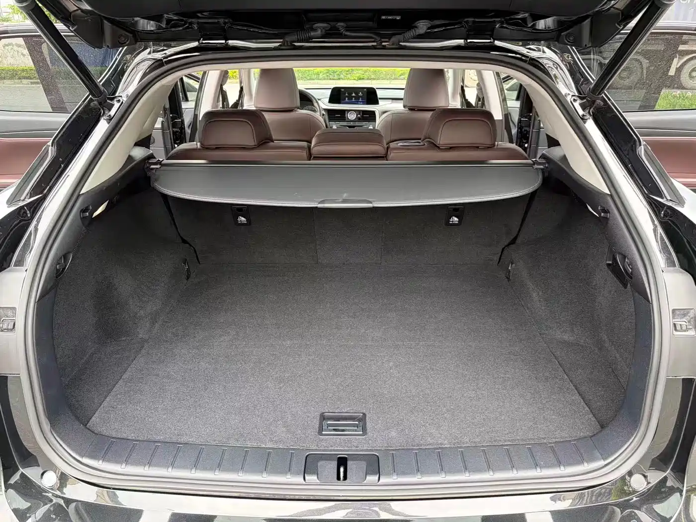 Lexus RX 2020 Facelift 300 AWD Elegance Edition фото 9