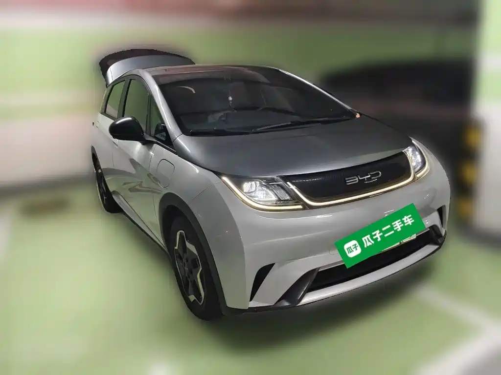 Фото 3 - BYD Dolphin