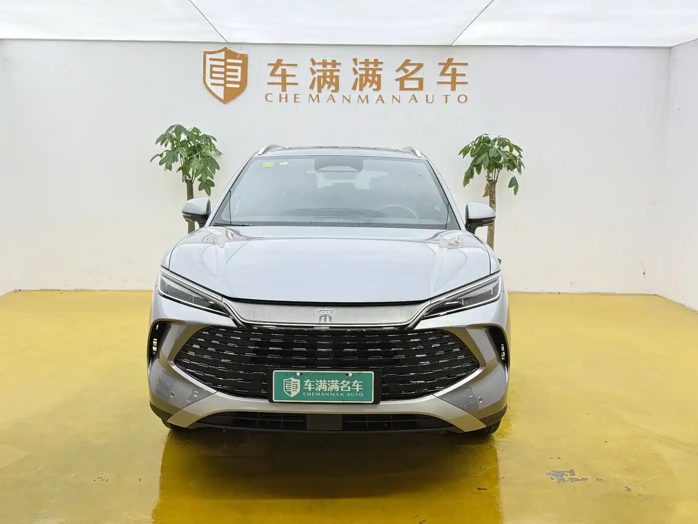 BYD Song L DM-i 2026 DM-i Intelligent Driving Edition 135KM Base Model фото 2