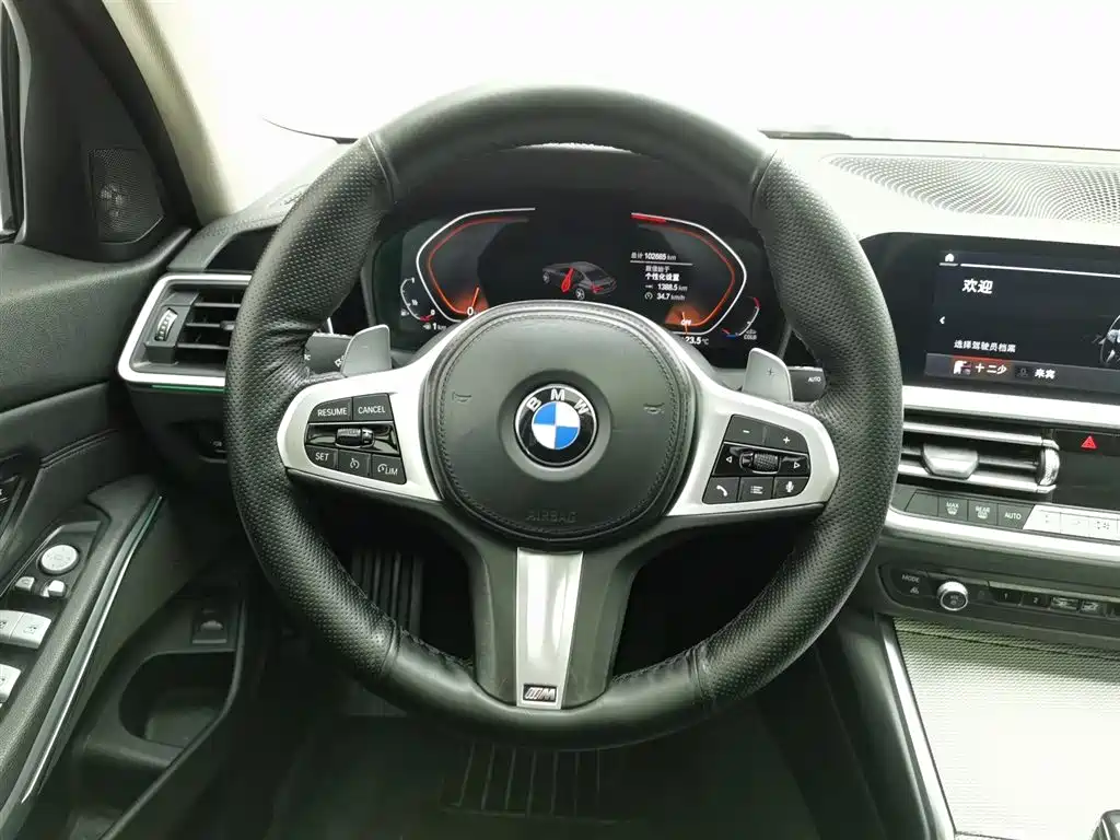 BMW 3 Series 2020 325Li M Sport Black Night Package фото 11