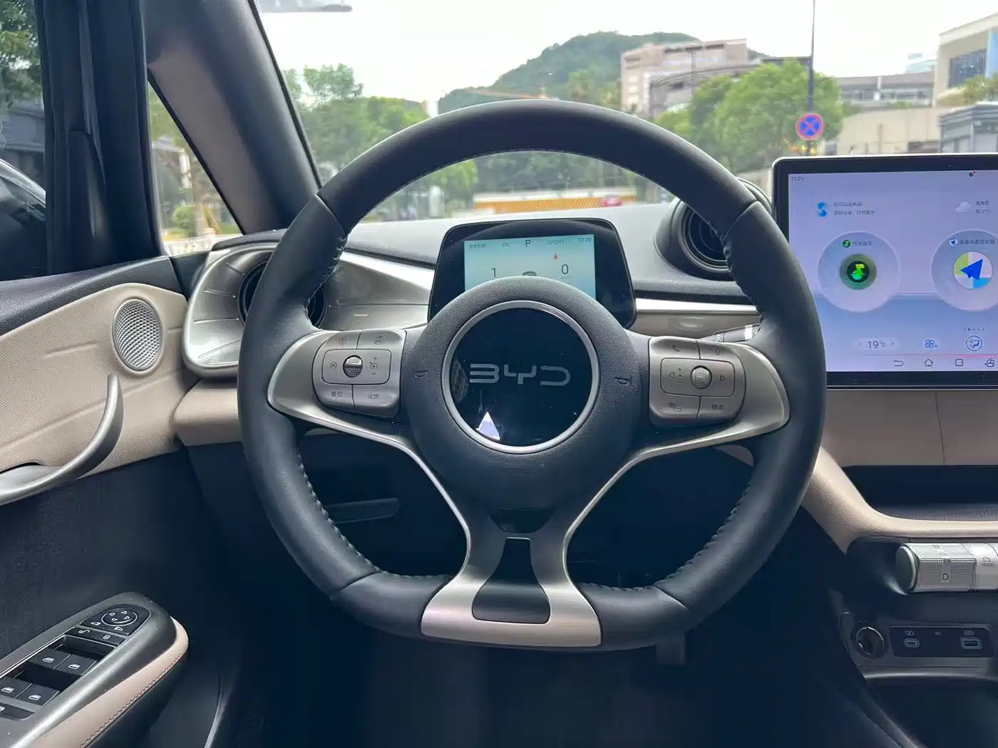 BYD Dolphin 2026 2025 420km Freedom Edition