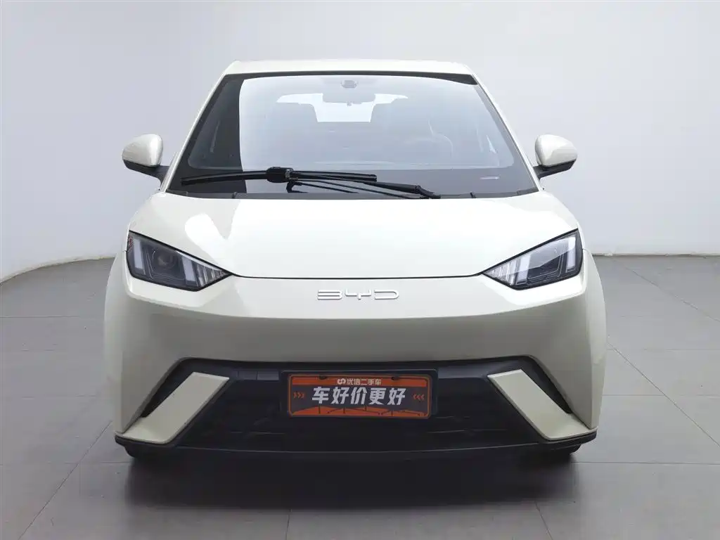 BYD Seagull 2023 Vitality Edition фото 3