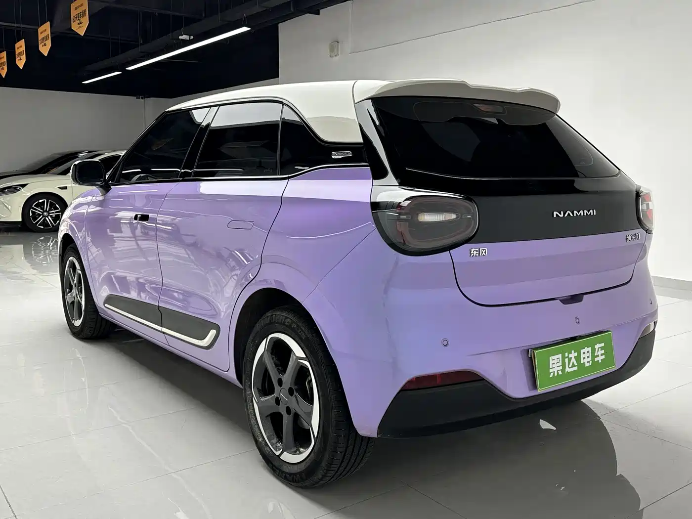 Dongfeng Yipai Nano 01 2025 2024 430 Plus Smart+