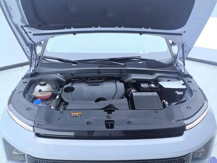 Geely ICON 2024 2023 1.5TD Protagonist