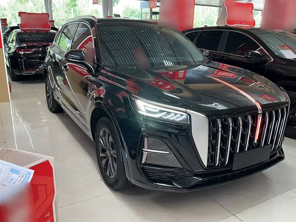 Hongqi HS5 2023 2.0T Flag Enjoy Pro Edition фото 12