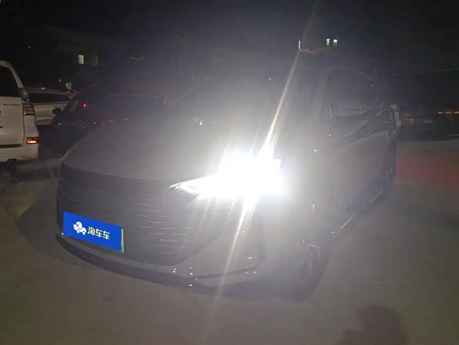 BYD Tang New Energy 2025 DM-i 115KM Flagship