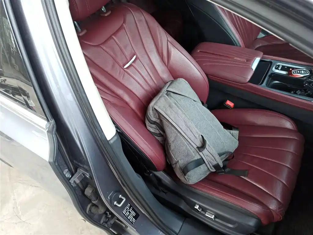Hongqi H5 2023 2.0T Auto Smart Connect Flag Comfort фото 20