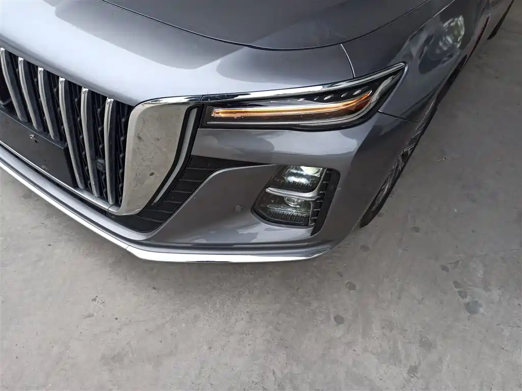 Hongqi H5 2023 2.0T Auto Smart Connect Flag Comfort фото 18
