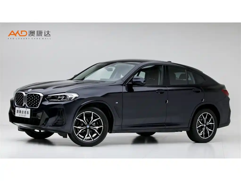 BMW X4 2023 2022 xDrive 25i M Sport Package