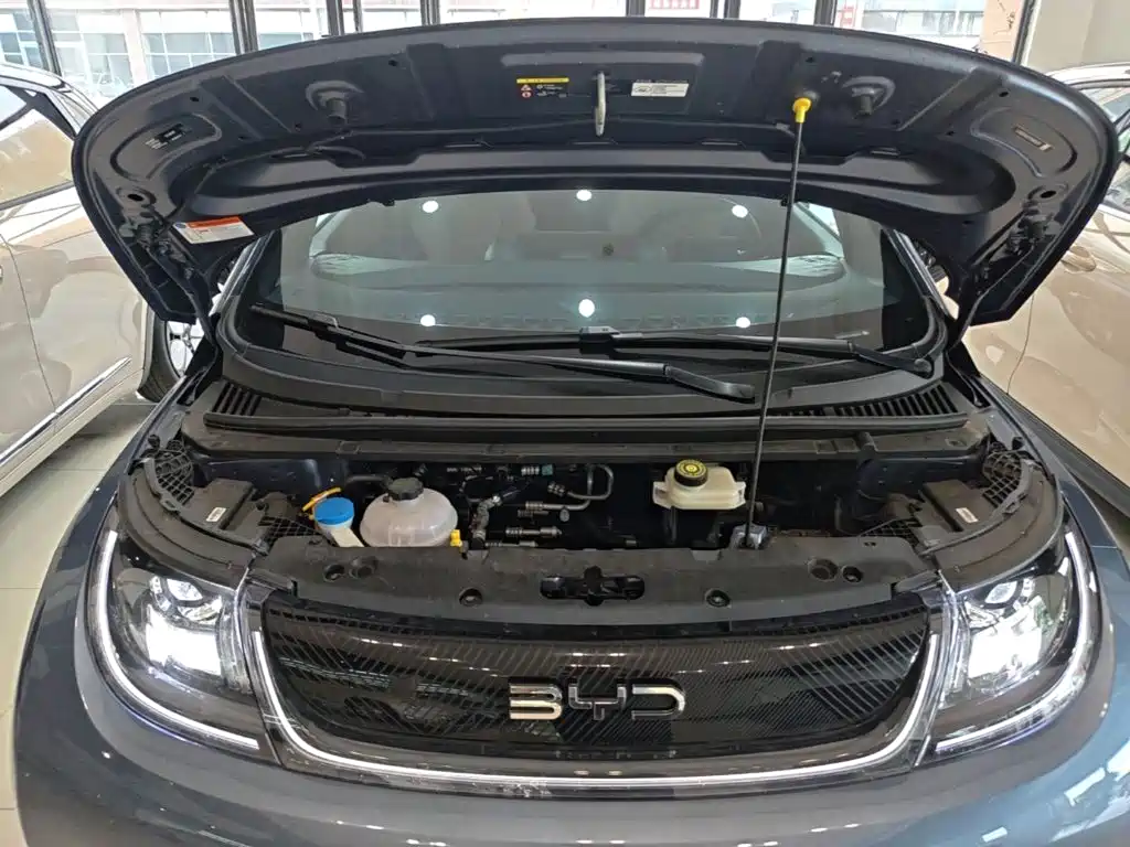 BYD Dolphin 2026 2025 420km Freedom Edition