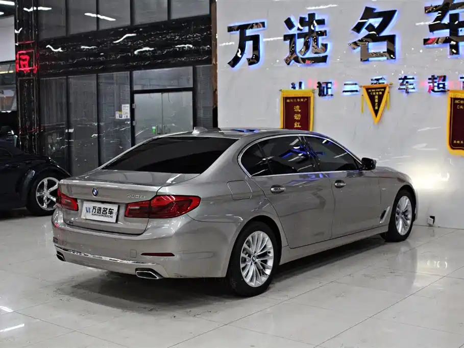BMW 5 Series 2018 530Li Leading Luxury Package фото 17