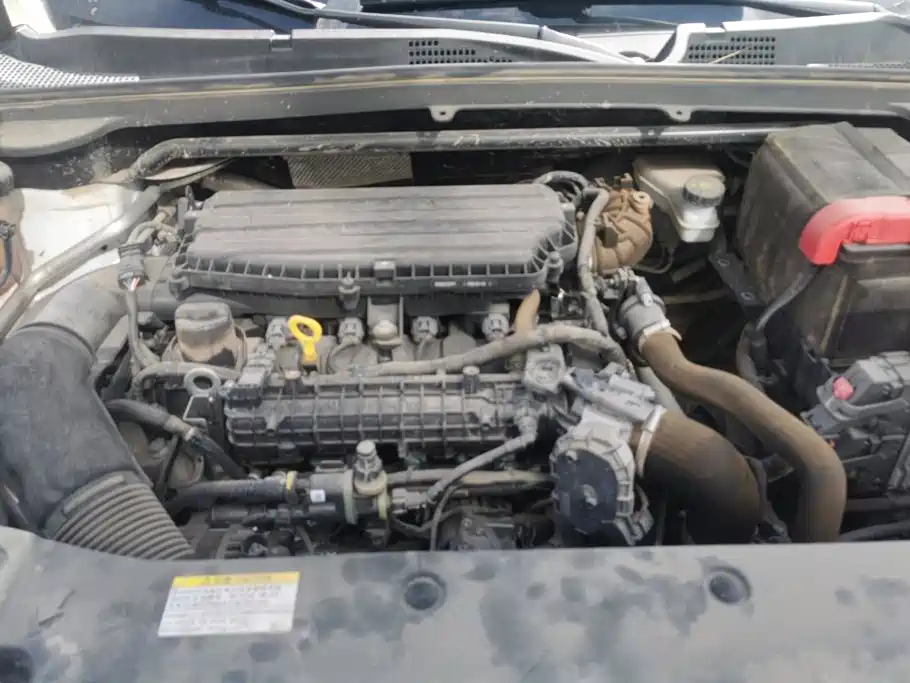Dongfeng Aeolus Haohan 2024 2023 1.5T Luxury Edition
