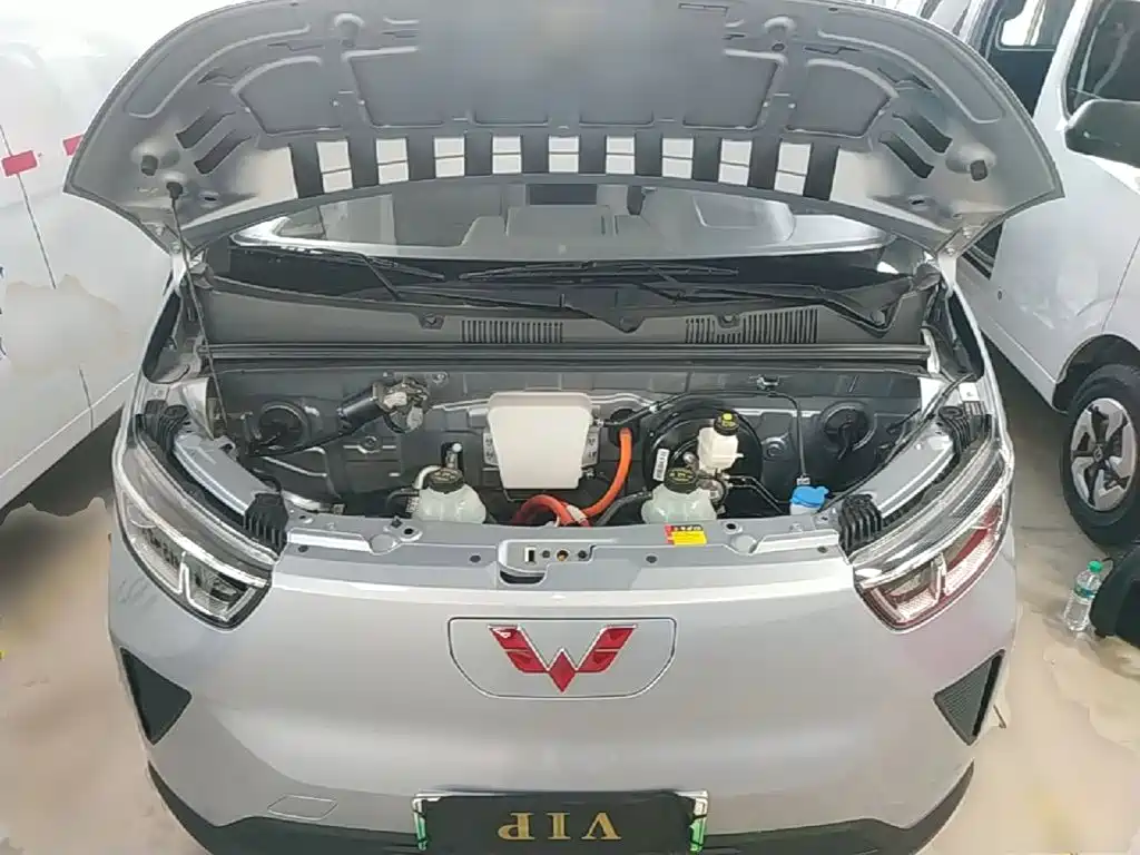 Wuling Motors Wuling Yangguang 2026 2024 300KM Comfort Bus Version 75kW