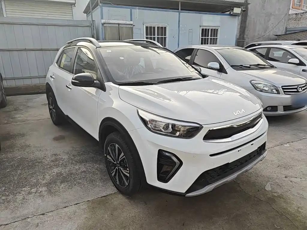 Фото 4 - Kia KX1