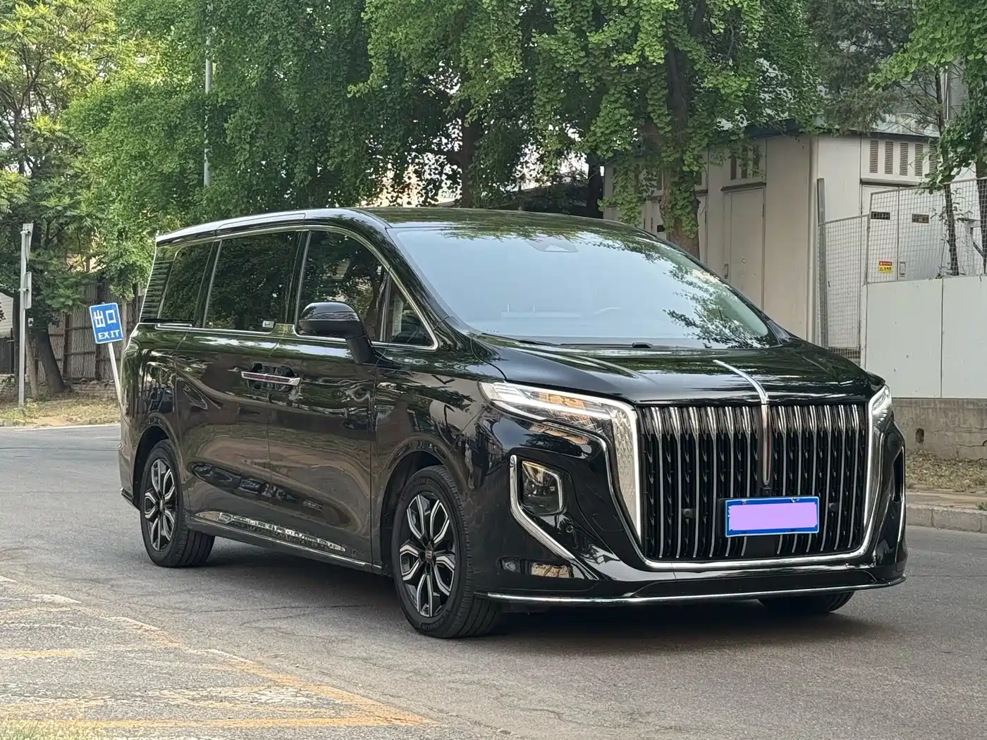 Hongqi HQ9 2023 2.0T Smart Connect Flagship фото 2