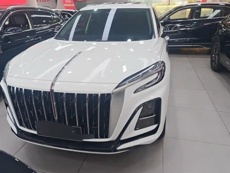 Hongqi HS3 PHEV 2024 PHEV 115km Power Edition фото 2