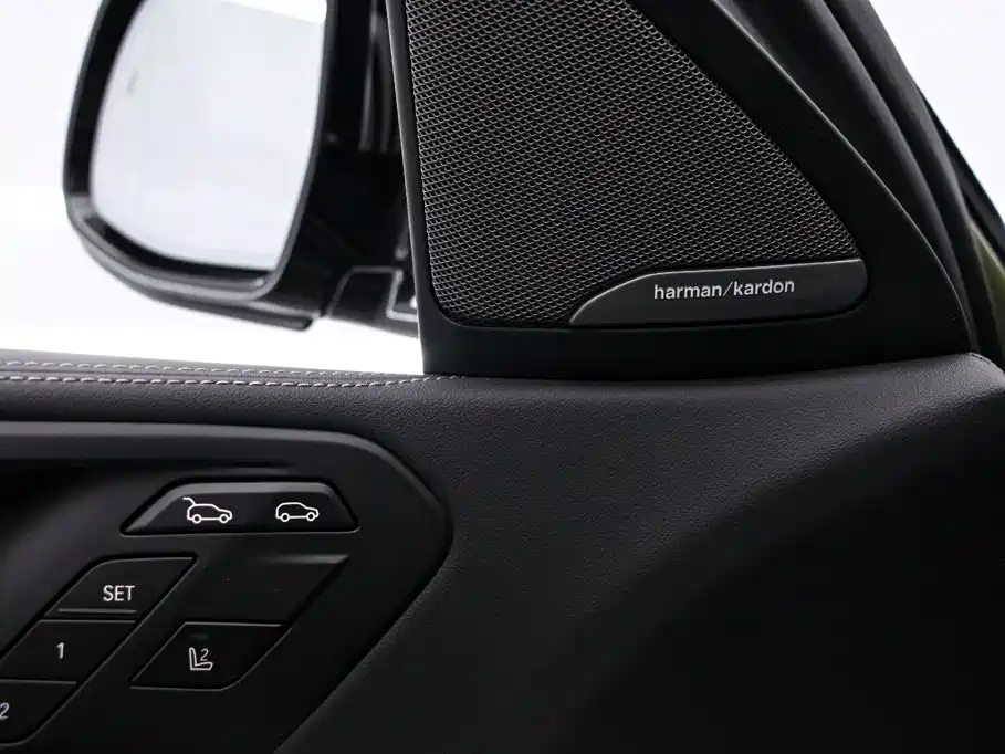 صورة 13 - BMW X6