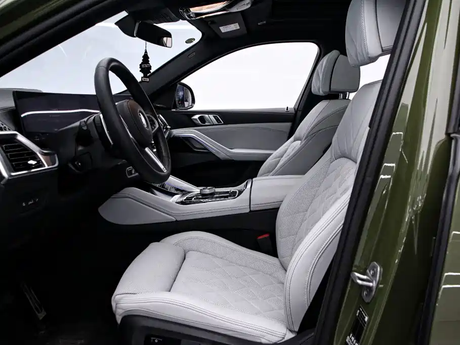 صورة 14 - BMW X6