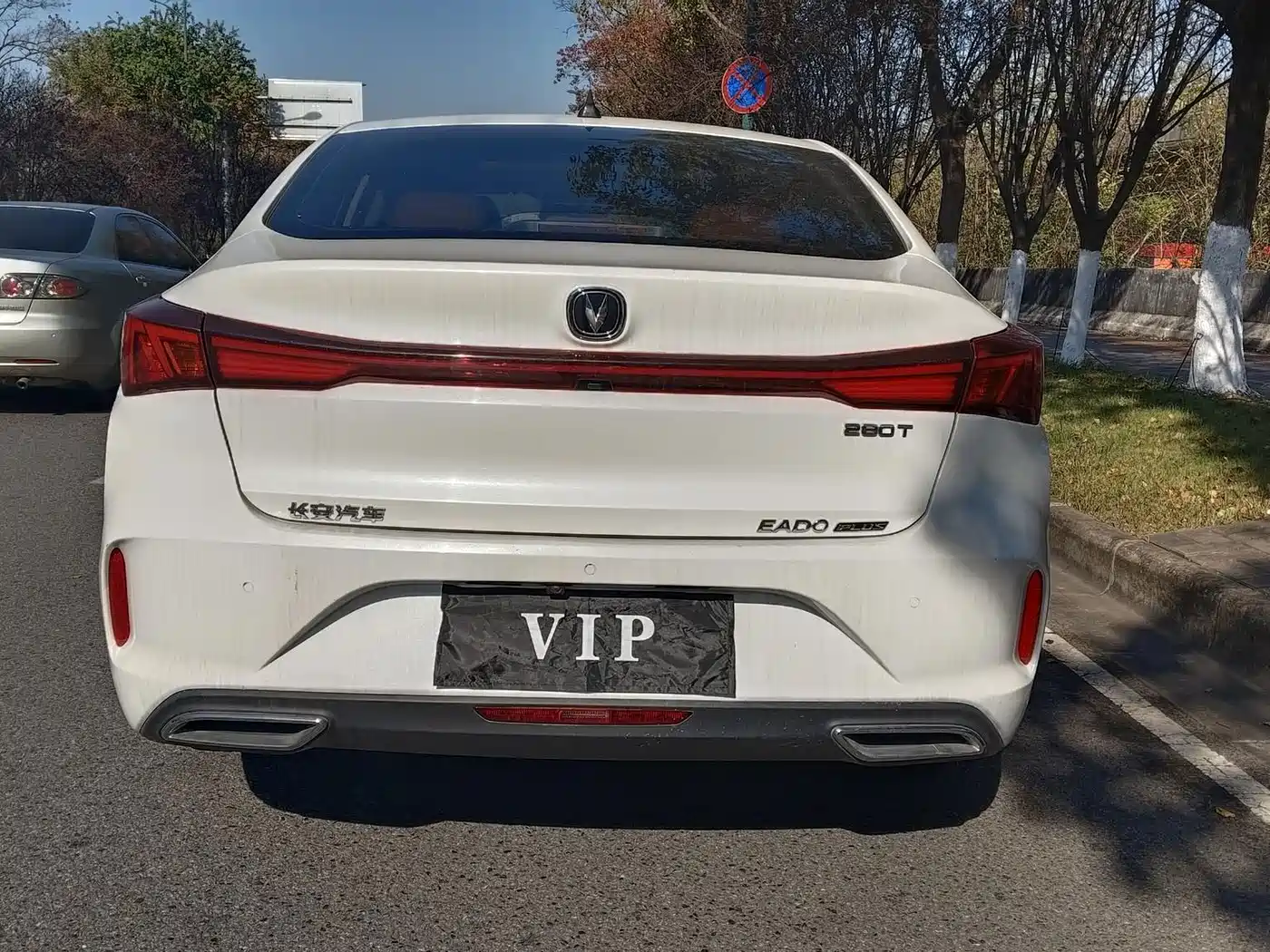Фото 9 - Changan Eado