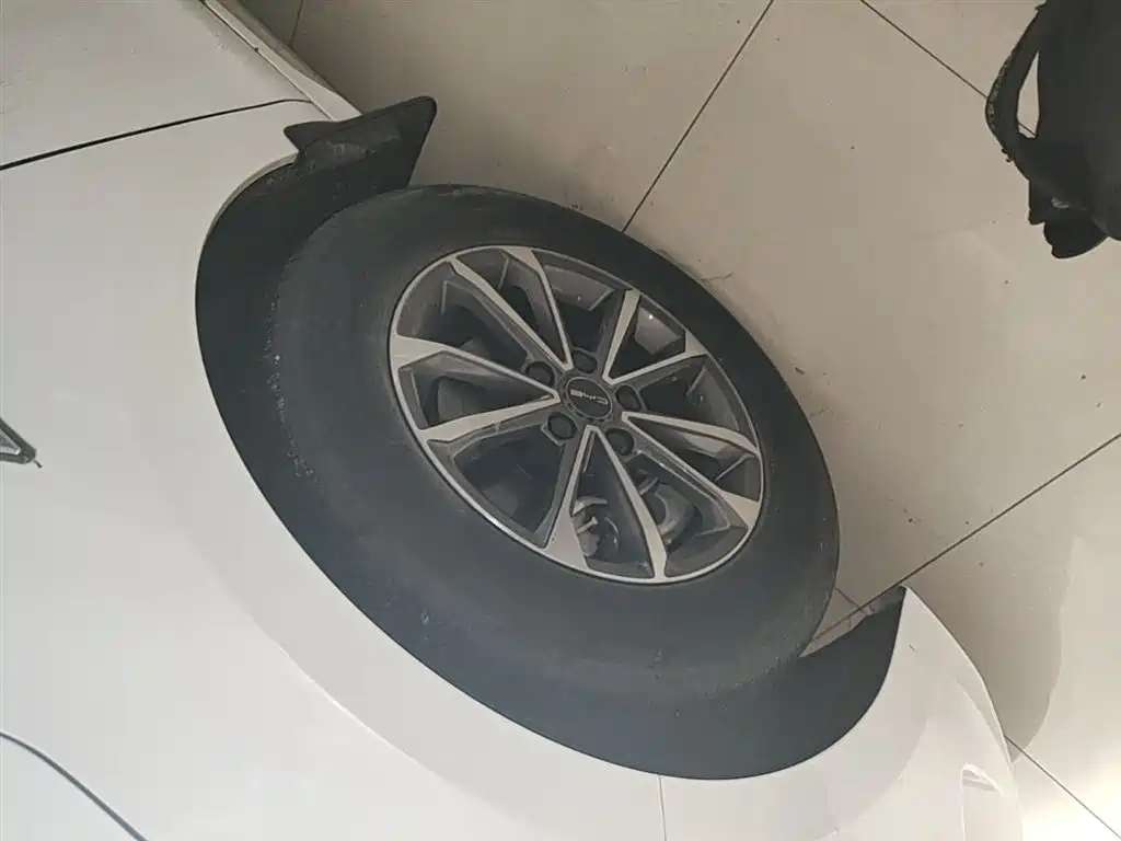 BYD Destroyer 05 2023 Champion Edition DM-i 55KM Luxury фото 23