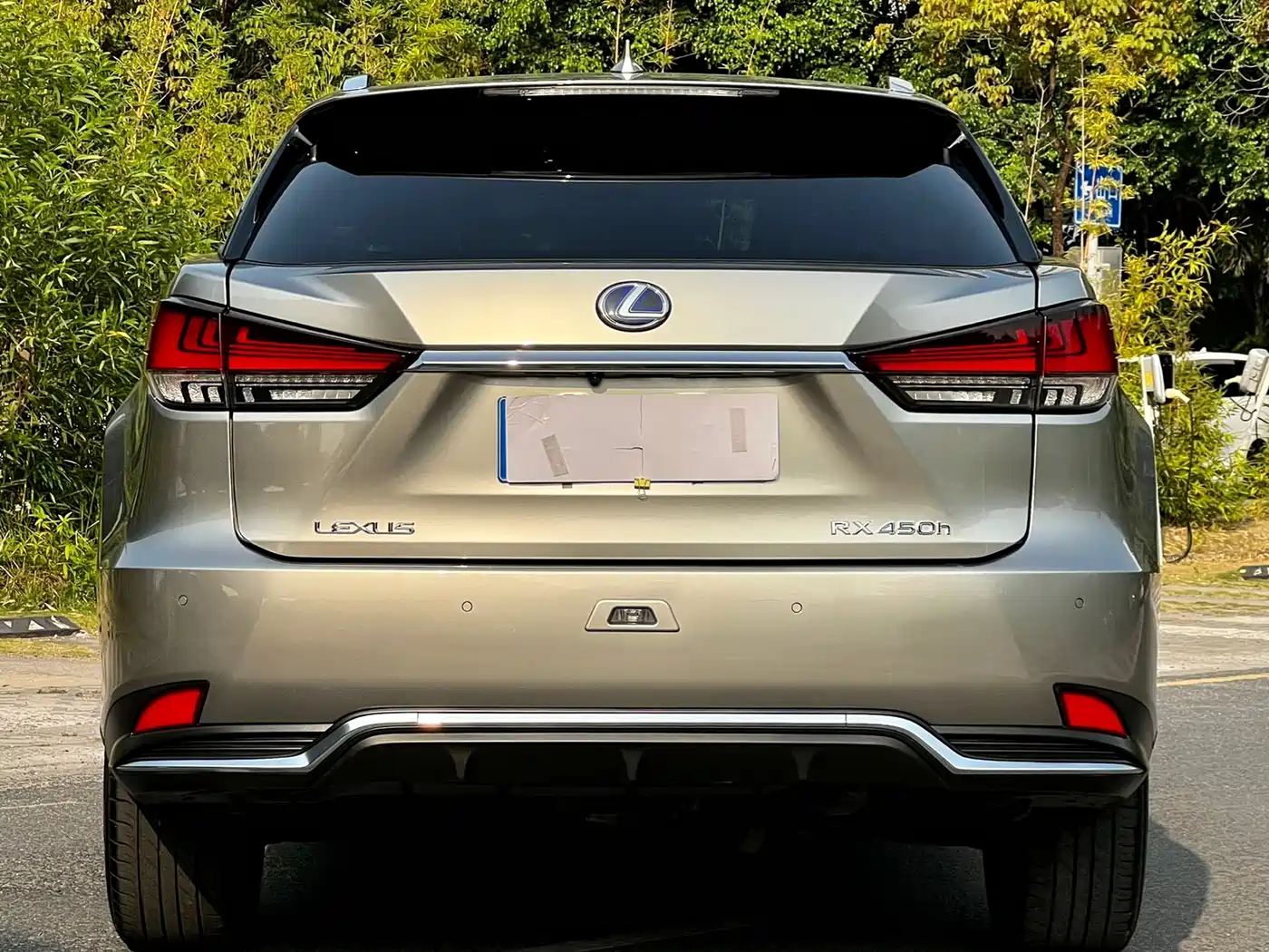 LEXUS RX