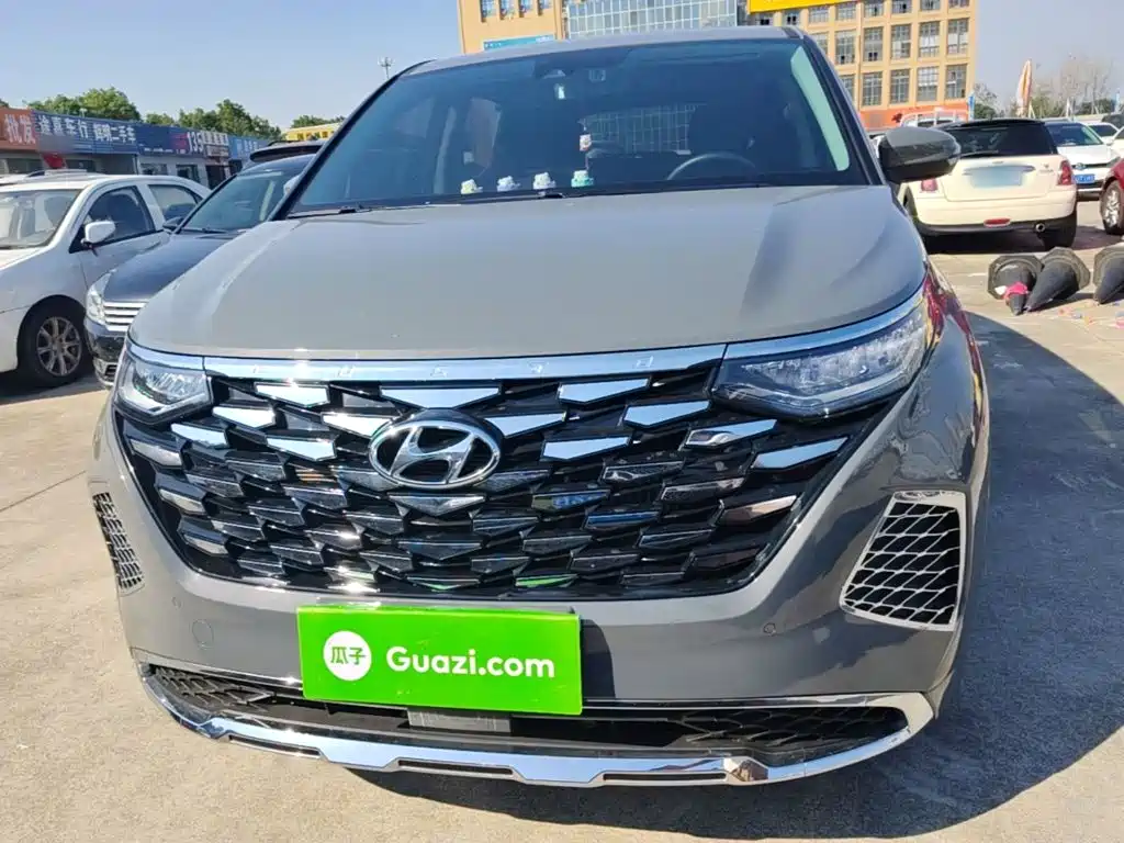 صورة 3 - Hyundai Custo