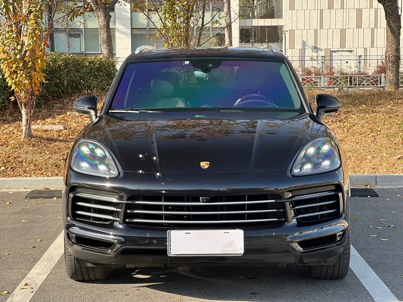 Porsche Cayenne 2022 Cayenne 3.0T Platinum Edition фото 2