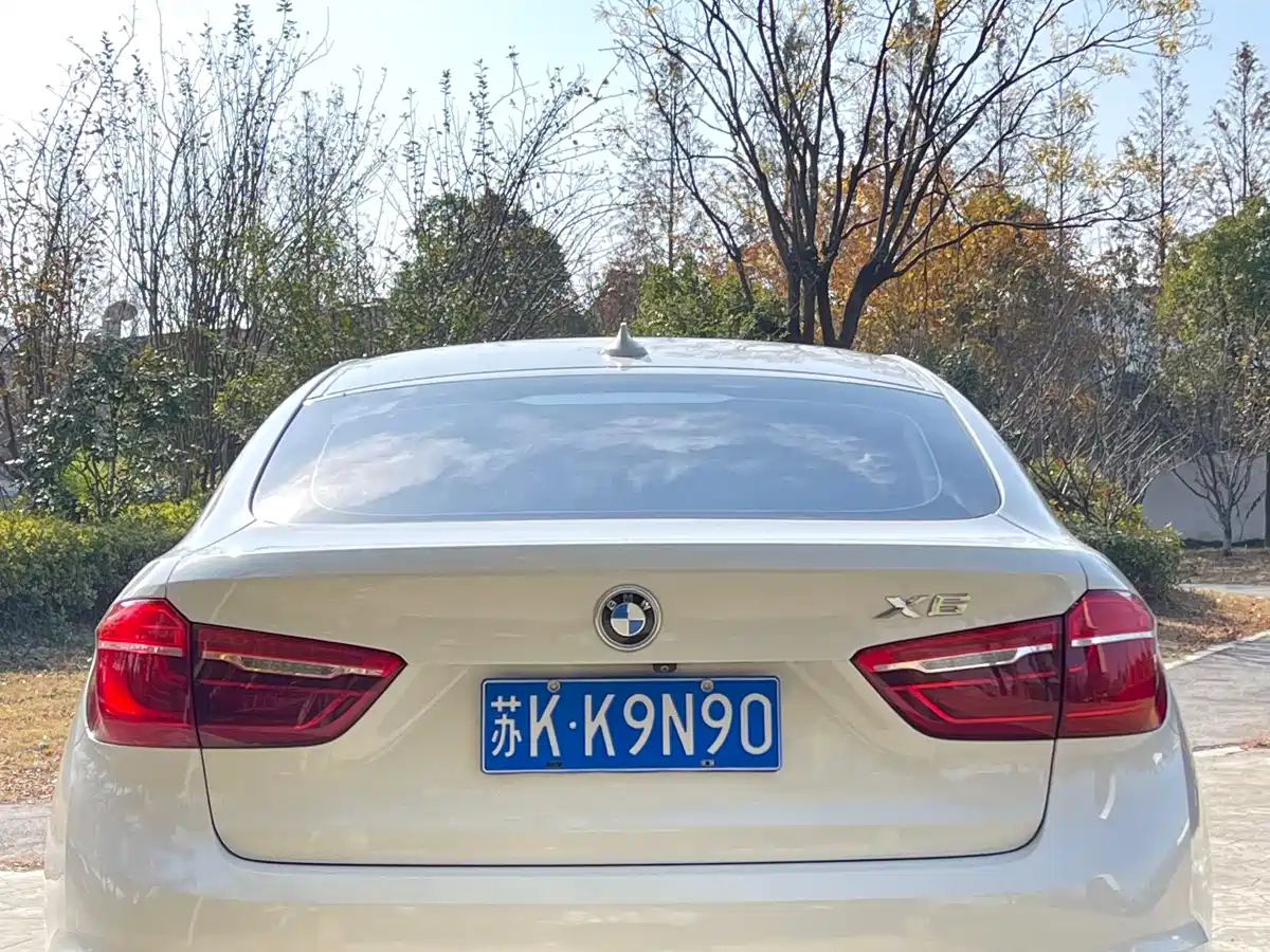 BMW X6 2017 xDrive35i Luxury фото 10