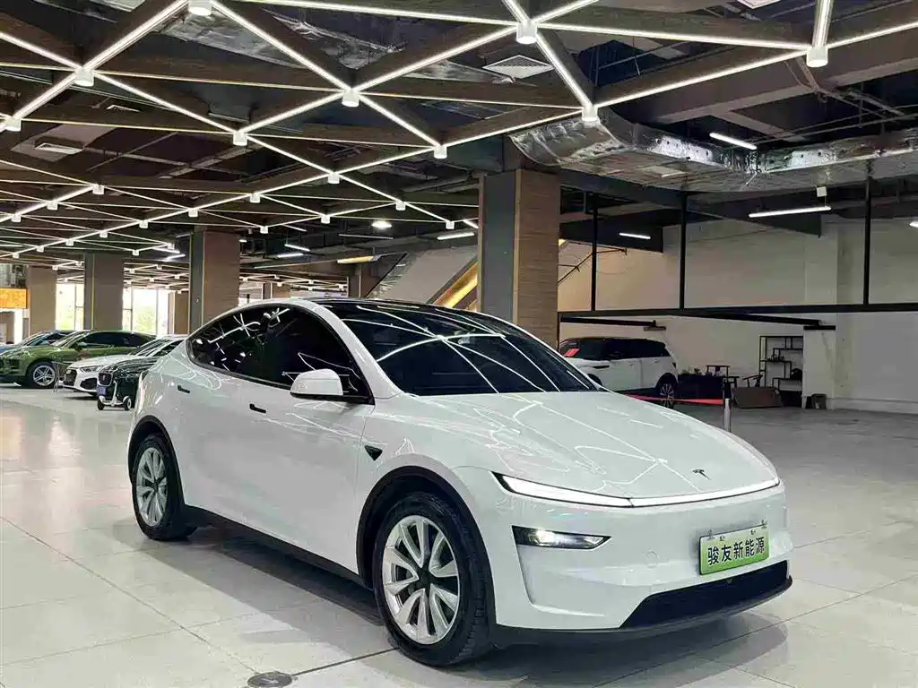 Tesla Model Y 2025 Long Range All-Wheel Drive фото 2