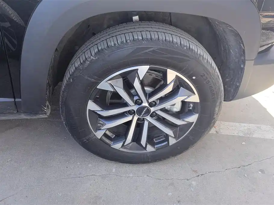 HAVAL BIG DOG