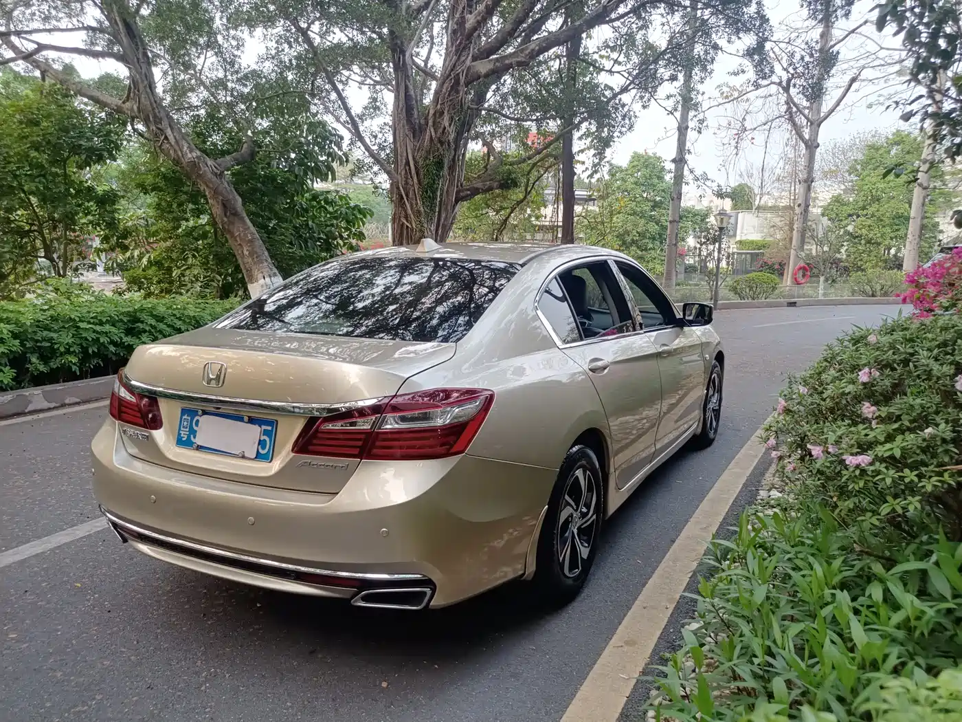 Фото 6 - Honda Accord