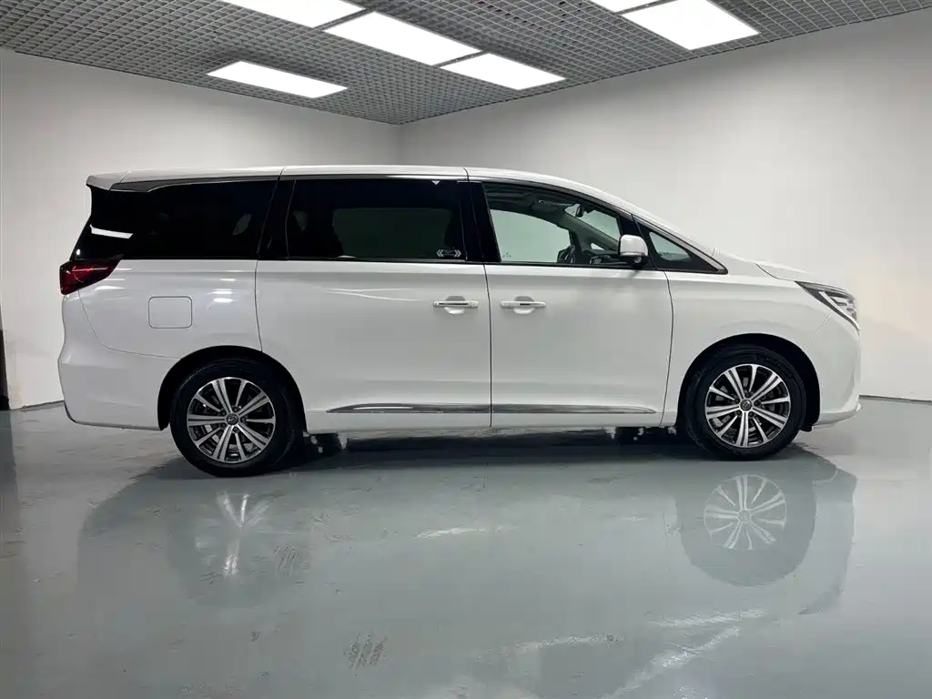 GAC Trumpchi Trumpchi M8 2019 320T Ultimate Edition фото 6