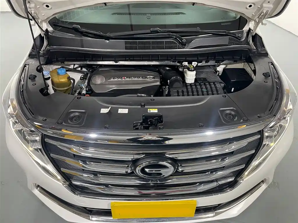 GAC Trumpchi Trumpchi M8 2019 320T Ultimate Edition фото 9