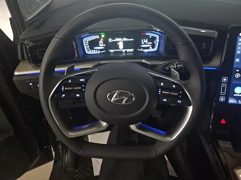 Hyundai Kustu 2024 380TGDi LUX Premium Smart Love Premium Edition фото 15