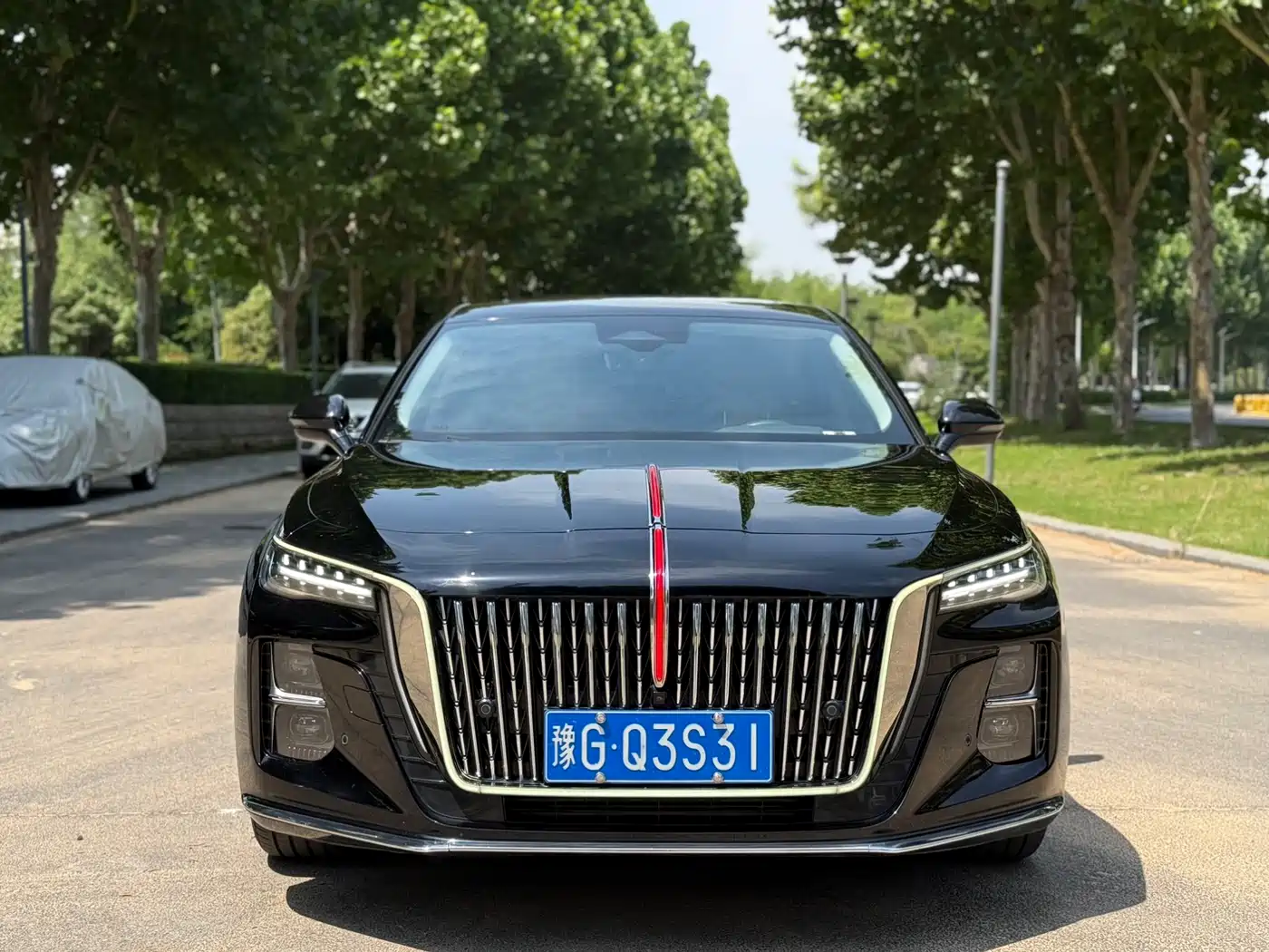 Hongqi H5 2024 2.0T Automatic Smart Connect Flag Smooth Edition фото 2