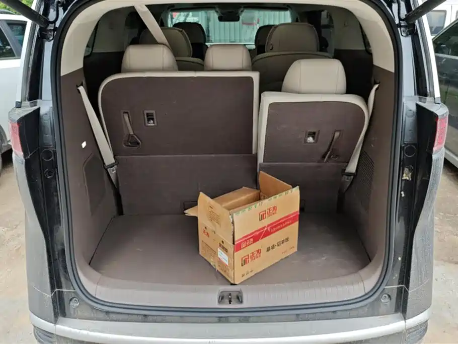Denza D9 2022 DM-i 970 AWD Flagship фото 4
