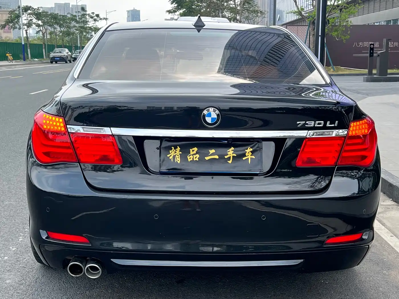 BMW 7 Series 2009 730Li Leading фото 6