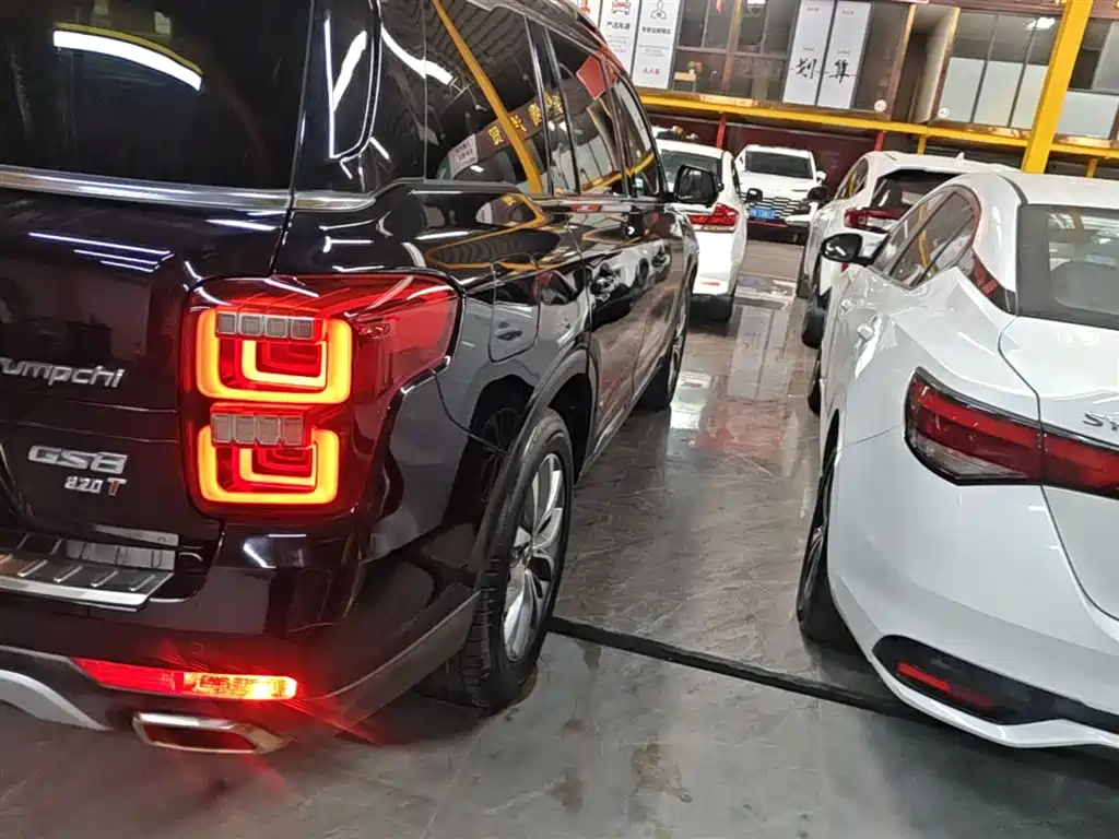 GAC Trumpchi Trumpchi GS8 2017 320T 2WD Luxury Smart Connect (7-seater) фото 8